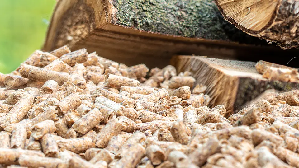 Kritik an geplantem Pellet- und Hackschnitzelheizungs Verbot